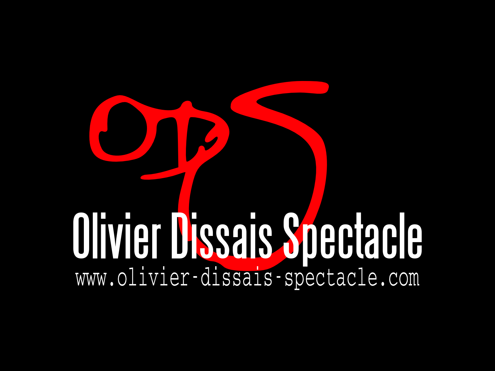 Olivier Dissais Spectacle